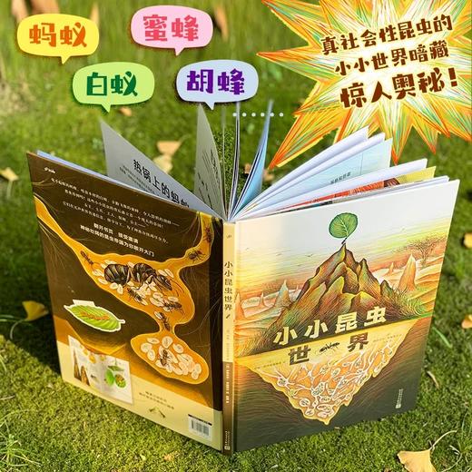 小小昆虫世界（精装·手工书） 商品图3