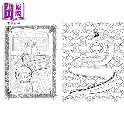 预售 【中商原版】哈利 波特 魔法生物涂色书 Harry Potter  Magical Creatures Coloring Book 英文原版  Insight Editions 填色画册 商品图2