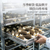 正安 四川头茬羊肚菌 头茬鲜货手工剪柄 乌黑油亮凹坑深纹 肉厚紧实 补充营养缓解疲劳 家庭煲汤好料 40g/罐 商品缩略图9