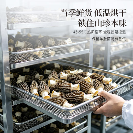 正安 四川头茬羊肚菌 头茬鲜货手工剪柄 乌黑油亮凹坑深纹 肉厚紧实 补充营养缓解疲劳 家庭煲汤好料 40g/罐 商品图9
