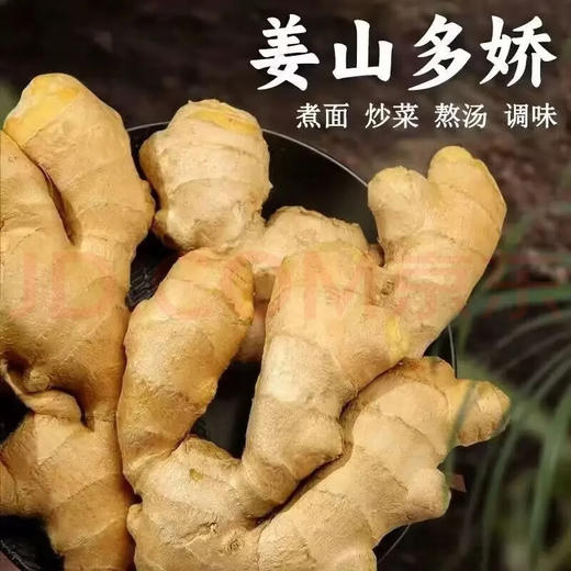 【SLSY】山东  新鲜  大姜 商品图4