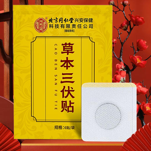 北京同仁堂内廷上用草本三伏贴30贴装/盒*7盒 商品图2