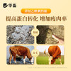 酸香瘤胃宝1kg 商品缩略图4