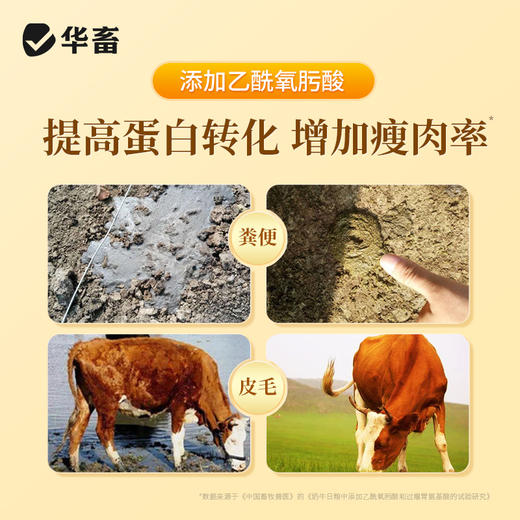 酸香瘤胃宝1kg 商品图4