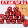 【YMHR】新疆无核枣  味甜肉厚 商品缩略图0