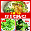 【YMHR】快菜 奶油小白菜 商品缩略图2