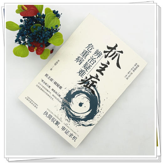 抓主症辨治疑难危重病 李海聪 主编 中国中医药出版社 中医临床 辩证医案 书籍 商品图1