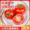 【SLSY】西红柿  山东  红宝石  高糖番茄 商品缩略图0