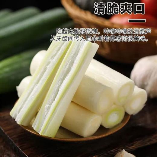 【SLSY】铁杆  大葱  新鲜  长白脆甜  蔬菜 商品图5