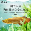 华畜鱼康宝调节水质水族鱼缸用烂尾烂鳃蒙眼水霉观赏鱼调理健康 商品缩略图2