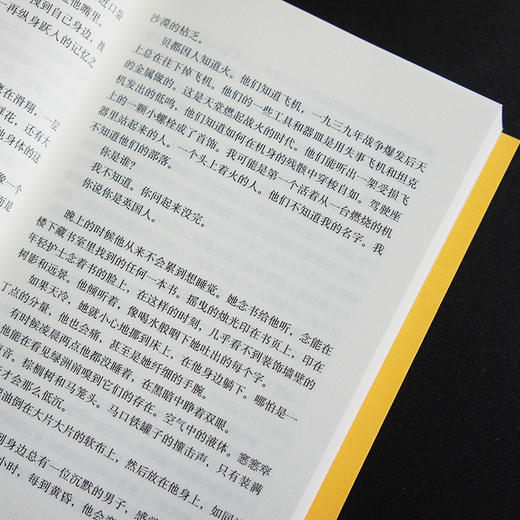 英国病人平装翁达杰作品系列布克奖得主迈克尔翁达杰金布克奖作品 商品图3