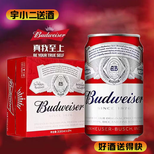 【啤酒】百威听装330ml*24 商品图0