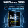 OpenClaw觉醒:基于AI智能体的超级生产力构建指南 商品缩略图0