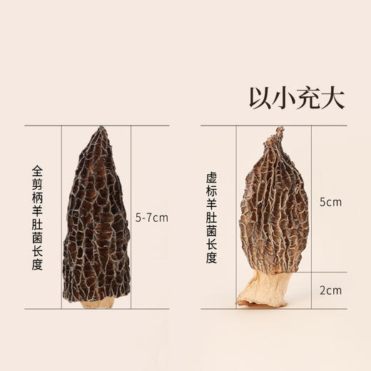 正安 四川头茬羊肚菌 头茬鲜货手工剪柄 乌黑油亮凹坑深纹 肉厚紧实 补充营养缓解疲劳 家庭煲汤好料 40g/罐 商品图7