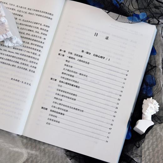 万千心理·自体的治疗：临床自体心理学要素 商品图4