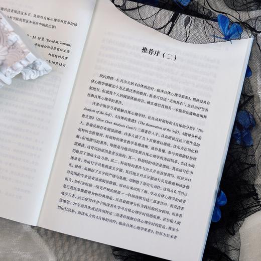 万千心理·自体的治疗：临床自体心理学要素 商品图3