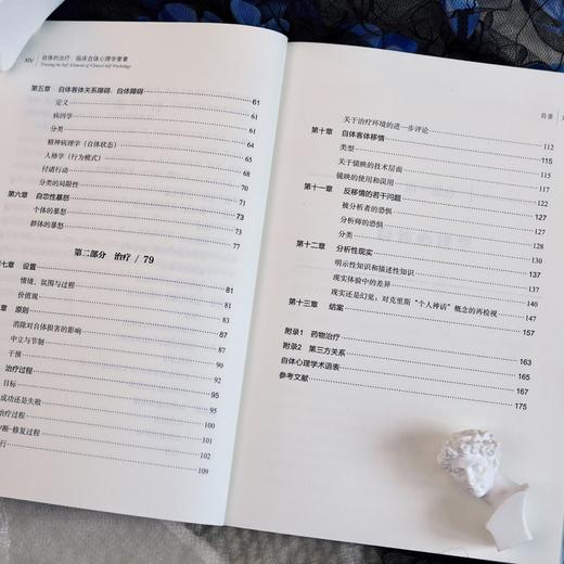 万千心理·自体的治疗：临床自体心理学要素 商品图5