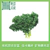现货 良道 轻松健康 味浓脆爽 有机羽衣甘蓝 商品缩略图0