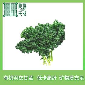 现货 良道 轻松健康 味浓脆爽 有机羽衣甘蓝