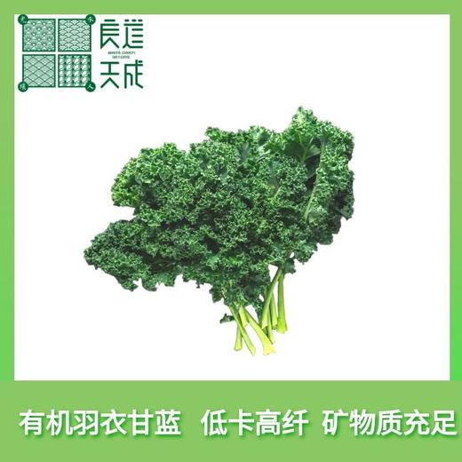 现货 良道 轻松健康 味浓脆爽 有机羽衣甘蓝 商品图0