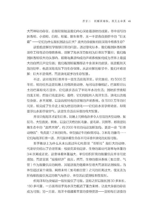 当死亡照亮生命：海洋巨兽解剖手记 商品图10