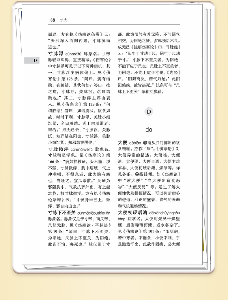中医棕黄-1_09.jpg