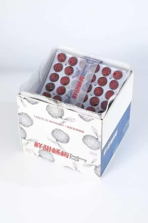 【浙团】大棚荸荠种杨梅 商品图0