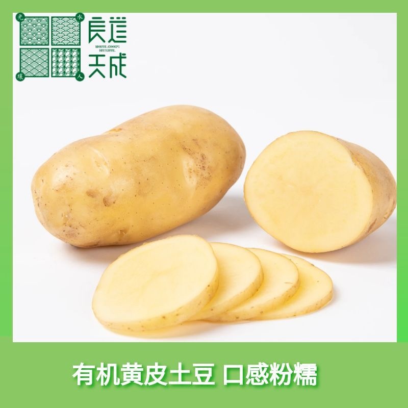 【2026年新土豆】【拍3斤发5斤】  有机黄土豆  黄心香软   美味十足
