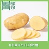 【2026年新土豆】良道天成  有机黄土豆  黄心香软   美味十足 商品缩略图0