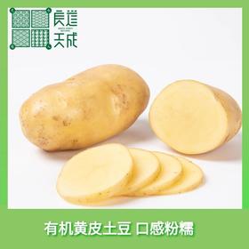 【2026年新土豆】良道天成  有机黄土豆  黄心香软   美味十足