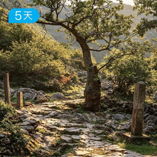 黔中古道｜心学之路+徐霞客古道，穿越贵州600年时空，5天4晚人文轻徒步 商品图2