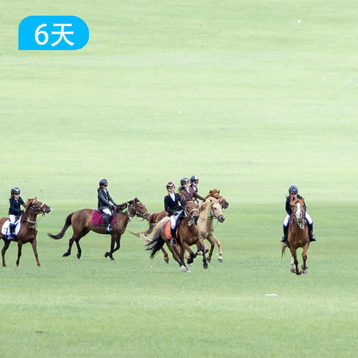 呼伦贝尔草原马背旅行 | 6天5晚深度野骑 商品图7