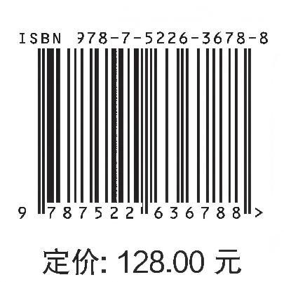 海上光伏工程创新研究丛书（套装） 商品图4