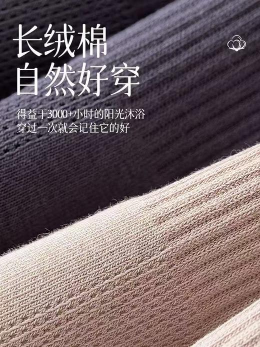 夏季薄款 日系无骨男女士浅口情侣纯棉船袜（10双装） 商品图9