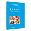 系统解剖学学习指导与习题集 李辉 许杰华 主编 普通高等学校配套教材 专科 高职 9787117389570 人民卫生出版社 商品缩略图1