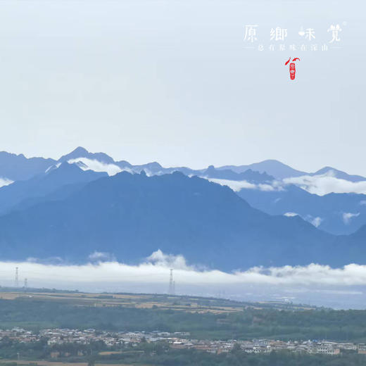 秦岭野生一年陈艾叶（基地直发-韵达快递）| 250g/袋，来自陕西秦岭，采集者：刘蜜书【合作生产，公平贸易】 商品图5