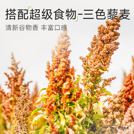 【叮叮懒人菜供货】新品藜麦鸡排 动物+植物双蛋白 商品图1
