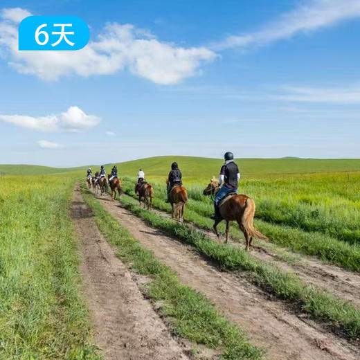 呼伦贝尔草原马背旅行 | 6天5晚深度野骑 商品图4