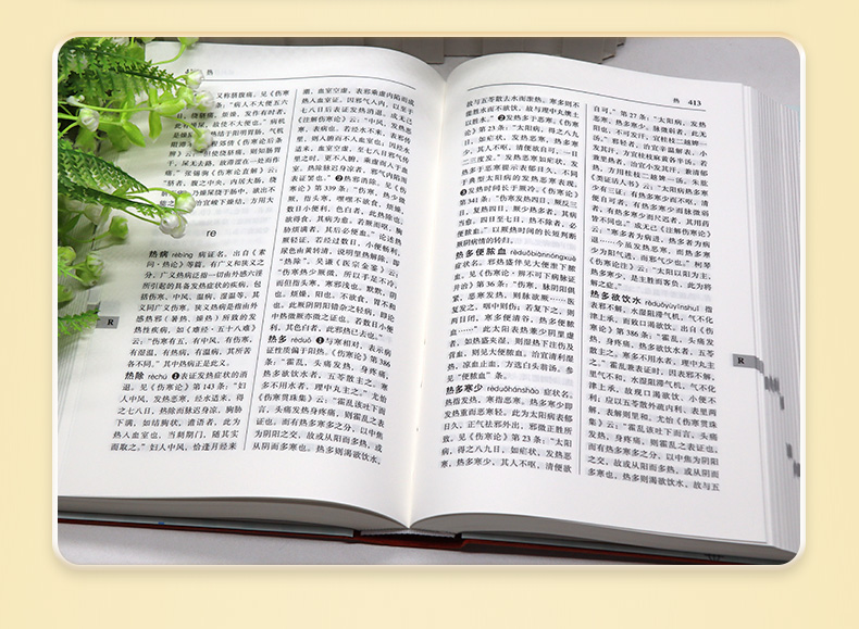 中医棕黄-1_05.jpg