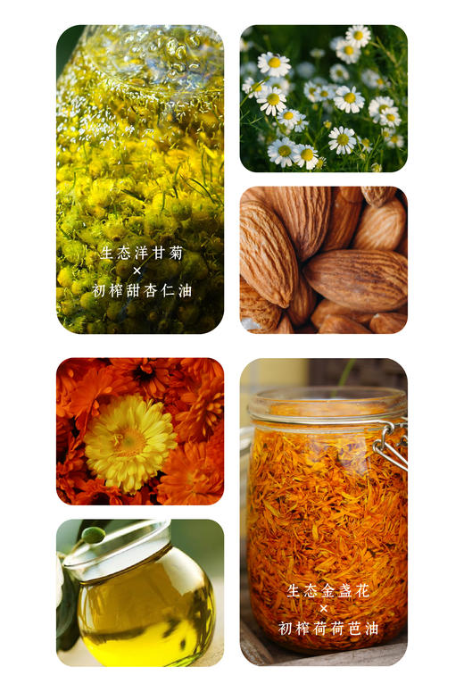 金盏花抗皱精华油30ml【基地直发】生产者：旗溪农场 产地：广东 商品图3