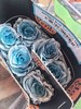 厄瓜多尔进口染色玫瑰花antique blue古董蓝10支 商品缩略图3