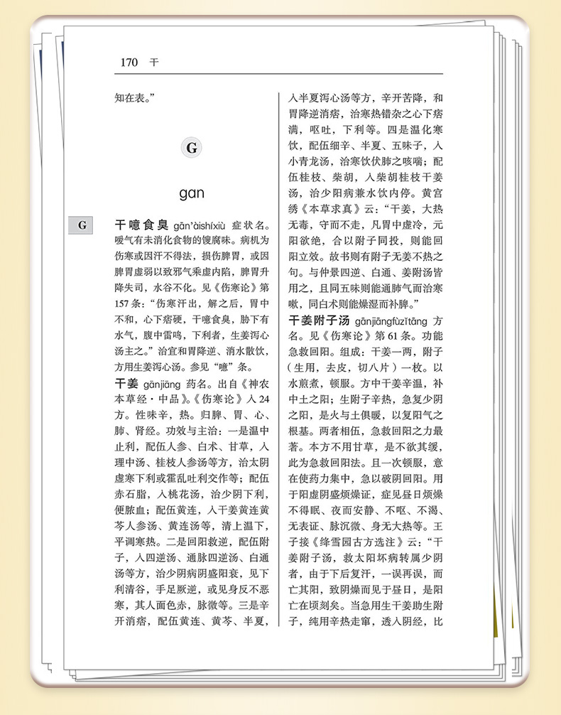 中医棕黄-1_08.jpg