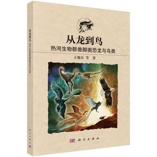 从龙到鸟：热河生物群兽脚类恐龙与鸟类 王旭日等 9787030839251 商品图0
