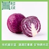 【拍3斤发5斤】良道有机紫甘蓝  1.5kg量贩装 商品缩略图0
