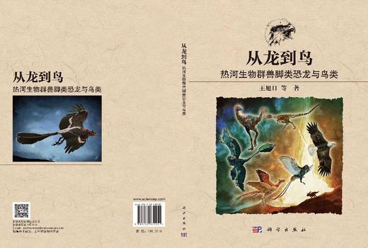 从龙到鸟：热河生物群兽脚类恐龙与鸟类 王旭日等 9787030839251 商品图3