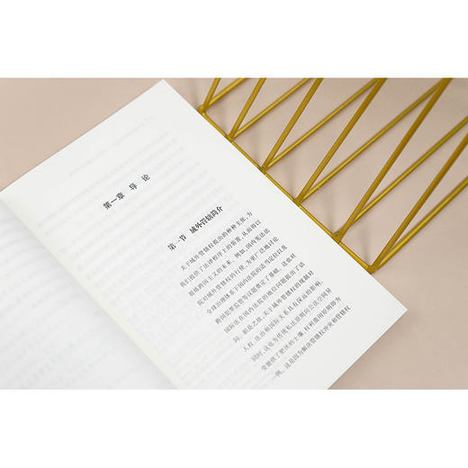 域外管辖的可问责性：比较法与国际法的视野   （澳）丹妮尔·艾尔兰·派珀 著 张建 译 霍政欣 校  法律出版社 商品图3