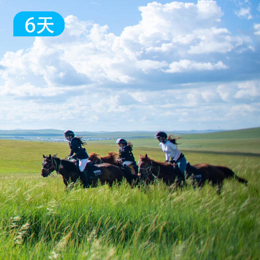 呼伦贝尔草原马背旅行 | 6天5晚深度野骑 商品图0