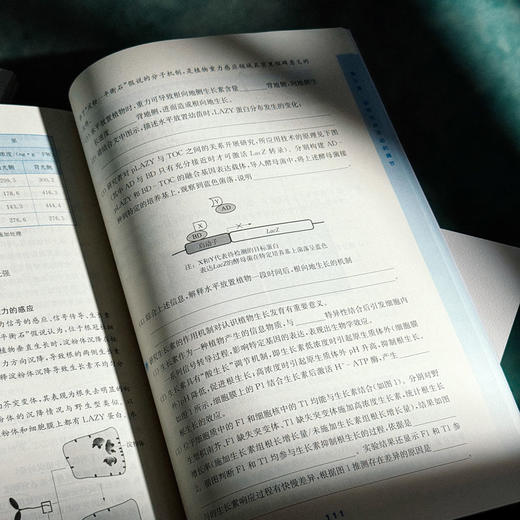 高中生物学深度学习+深度训练 申武君 生物学学科核心素养 必修 选择性必修 商品图8