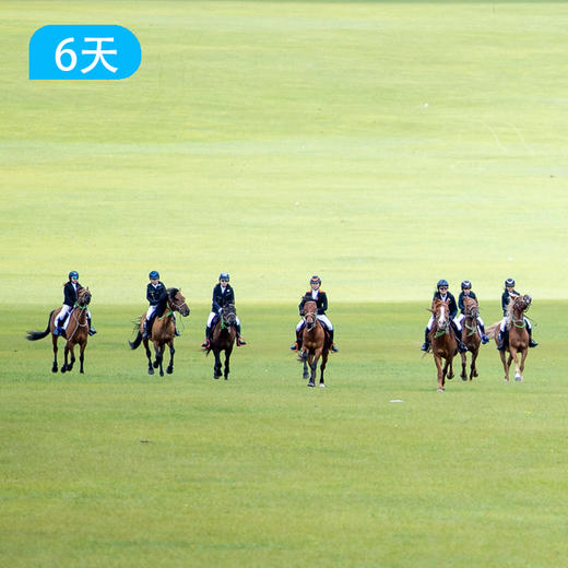 呼伦贝尔草原马背旅行 | 6天5晚深度野骑 商品图6