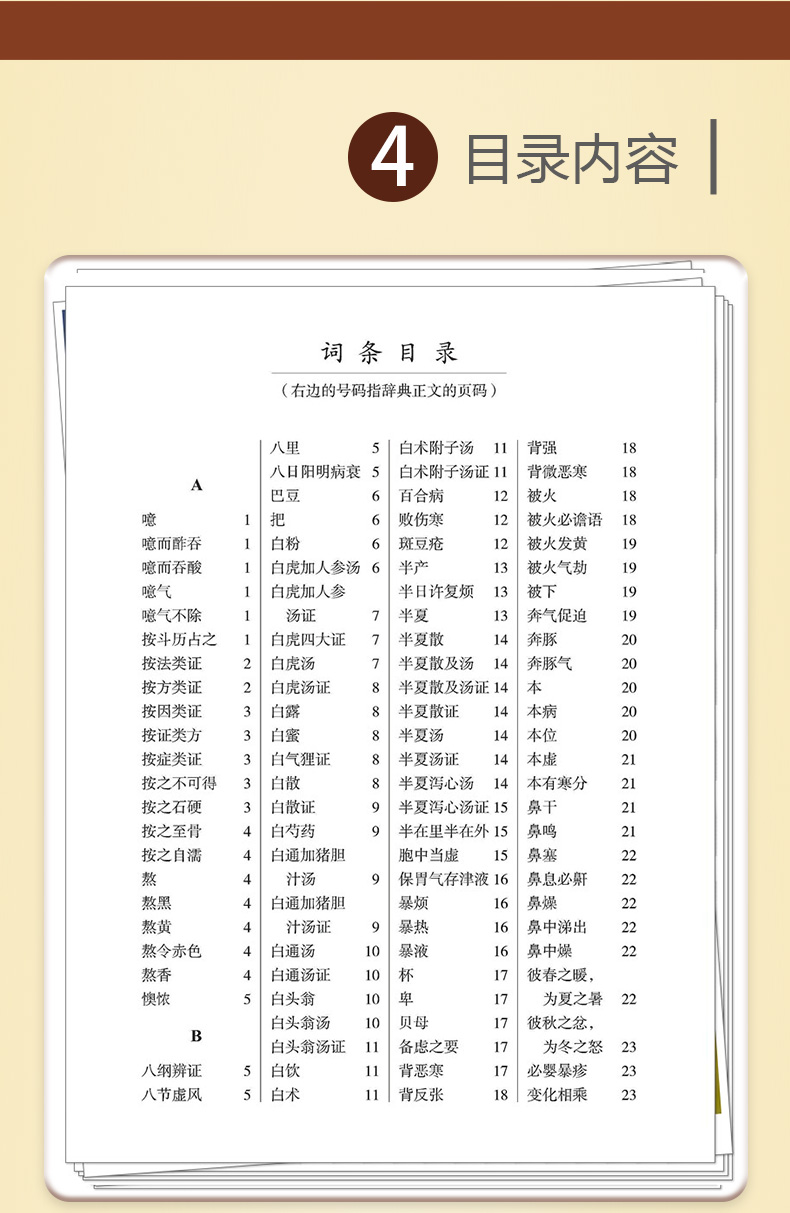 中医棕黄-1_06.jpg